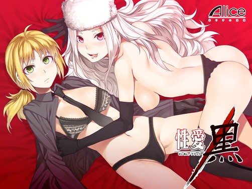 Fate/Zero セイバー アイリスフィール・フォン・アインツベルン 同人誌 「性愛黒」 無料ダウンロード